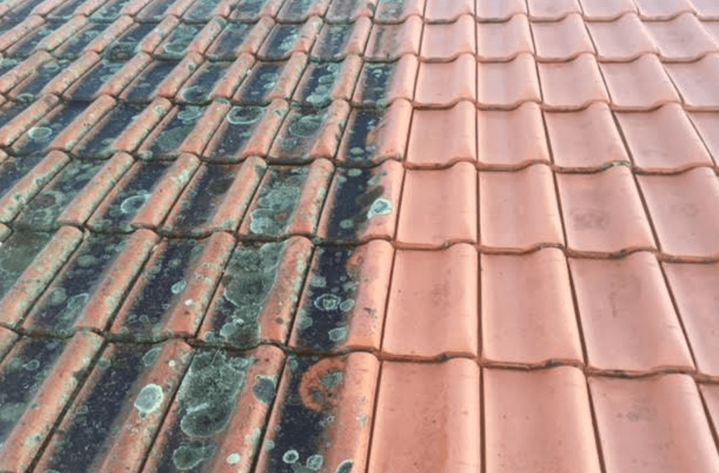 Mould Removal